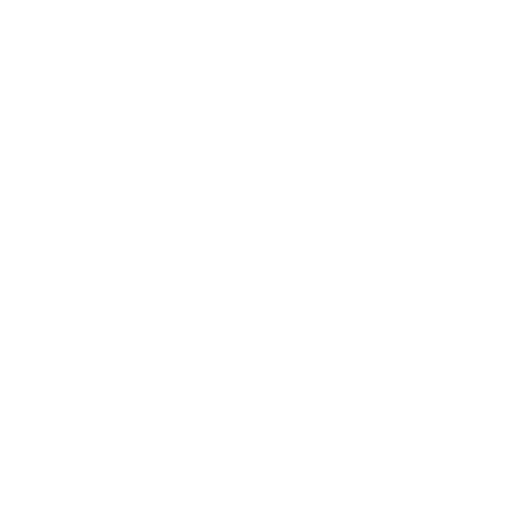 cracked-shield.png