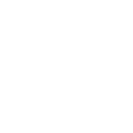 shield.png